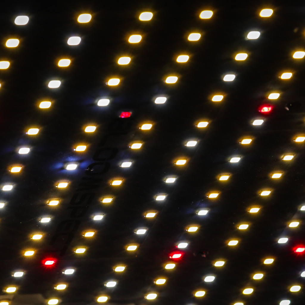 Grow lights